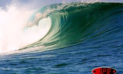 Les vagues sont de retour