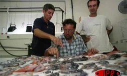 Lundi 9 avril 2007 -

Des centaines de poissons morts, dont plusieurs d'espèces inconnues, ont été trouvés au large de Saint-Philippe dans la zone où la lave se jette dans l'océan