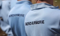 Gendarme