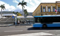 transport Citalis