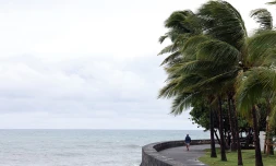 météo réunion