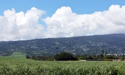 météo réunion