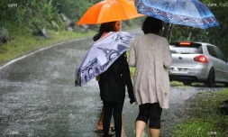 pluie