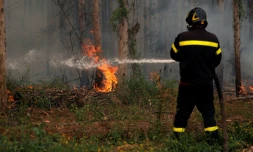 Vague de chaleur au Chili: les incendies menacent d'autres régions