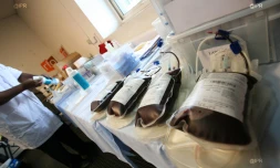 Etablissement Français du Sang