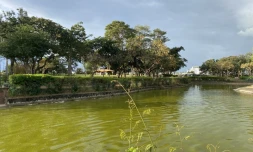 parc boisé au port