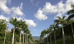 parc Boisé