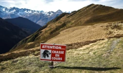 Le gouvernement va annoncer s'il interdit ou non la chasse le dimanche