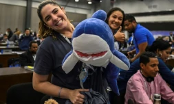 Vote "historique" attendu sur les requins au 19e sommet des espèces menacées