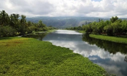paysages