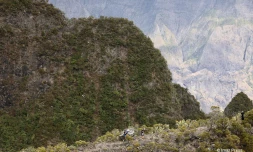 grand raid sentier scout1