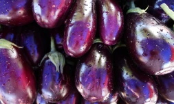 Légumes Réunion