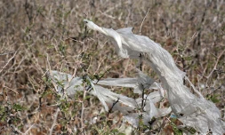 Déchets plastiques
