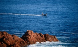 Sur la Côte d'Azur, une interdiction de pêcher bénéfique à la biodiversité et aux pêcheurs