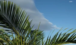 météo réunion