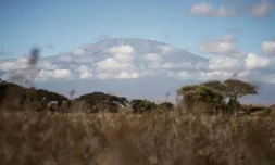 AFP incendie Kilimanjaro