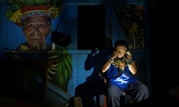 En Amazonie équatorienne, le "chemin sacré" de l'ayahuasca