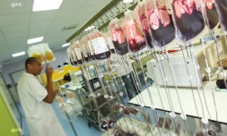 Laboratoire de EFS