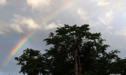 Arc en ciel
