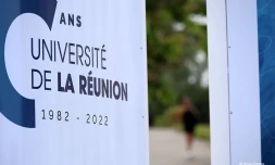 université de la réunion