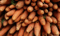 Légumes Réunion