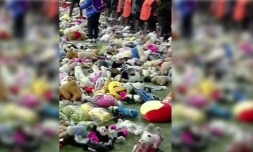 Capture d'écran Instagram