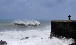 Cyclone Freddy
