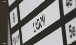 Ladom