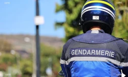 Gendarmes