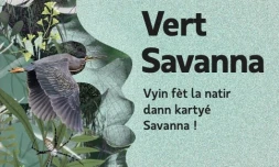 Affiche Vert Savanna