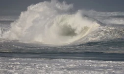 houle en bord de mer avec de grosses vagues