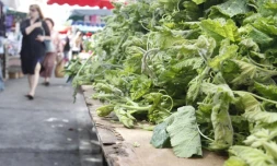 Marché du Chaudron
