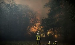 incendie-Gironde