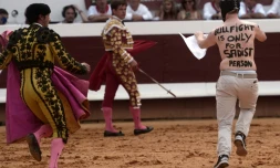 Interdire la corrida? Les députés planchent sur un sujet polémique