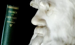 Le naturaliste Alfred Wallace, 200 ans dans l'ombre de Darwin