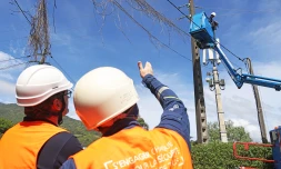 EDF Intervention