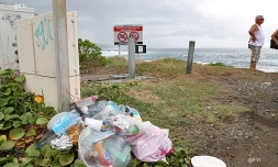 Déchets