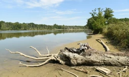 Un étang partiellement asséché près d'Aire-sur-Adour
