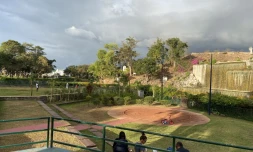 parc boisé au port