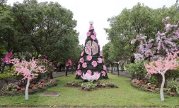Jardin en fête, au jardin de l'Etat à Saint-Denis, organisé par le conseil département
