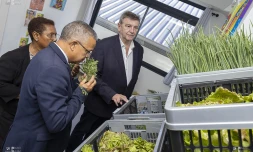 Une nouvelle épicerie solidaire inaugurée à Saint-Denis