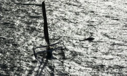 Charles Caudrelier remporte la Route du Rhum en battant le record de l'épreuve