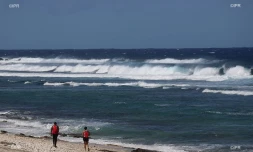 météo réunion