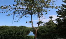paysages