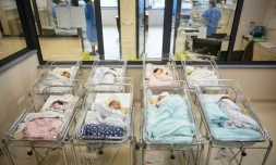 La population mondiale dépasse mardi les 8 milliards d'habitants 