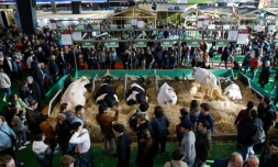 Exigences climatiques et plans d'aide, l'édition 2023 du Salon de l'agriculture