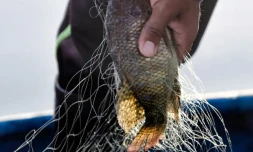 Pêche au filet dans le jardin aztèque de Xochimilco