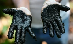 En Amazonie, la souillure de l'or noir