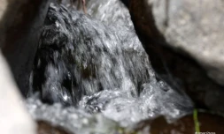 Eau