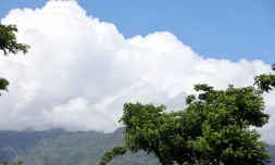 météo réunion